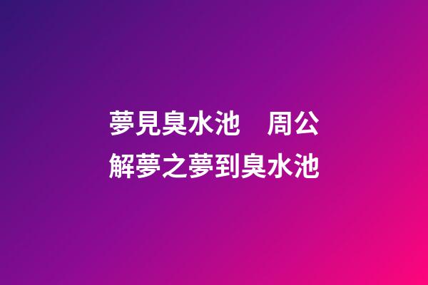 夢見臭水池　周公解夢之夢到臭水池
